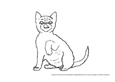 Katze-10.pdf